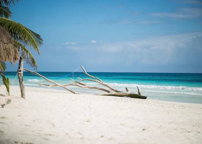 Encantada Hotel Tulum